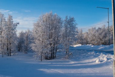 İskandinavya 'daki güzel beyaz kış harikalar diyarı manzarasının panoramik manzarası kışın gün batımında, kuzey Avrupa' da manzaralı altın akşam ışığı. İsveç Laponya.