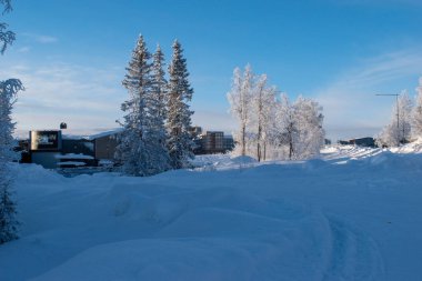 İskandinavya 'daki güzel beyaz kış harikalar diyarı manzarasının panoramik manzarası kışın gün batımında, kuzey Avrupa' da manzaralı altın akşam ışığı. İsveç Laponya.