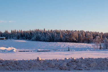 İskandinavya, İsveç Laponya 'daki güzel beyaz kış harikalar diyarı manzarasının panoramik manzarası. Gün ortası güneş ışığı.