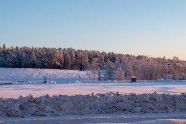 İskandinavya, İsveç Laponya 'daki güzel beyaz kış harikalar diyarı manzarasının panoramik manzarası. Gün ortası güneş ışığı.