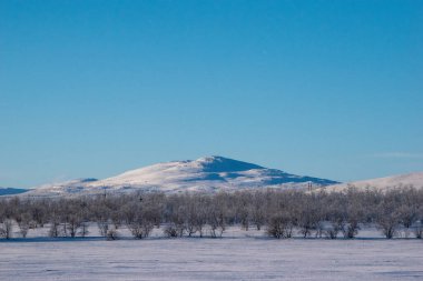 İskandinavya, İsveç Laponya 'daki güzel beyaz kış harikalar diyarı manzarasının panoramik manzarası. Gün ortası güneş ışığı.