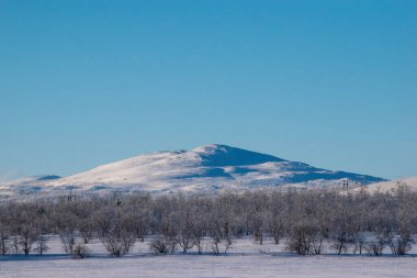 İskandinavya, İsveç Laponya 'daki güzel beyaz kış harikalar diyarı manzarasının panoramik manzarası. Gün ortası güneş ışığı.
