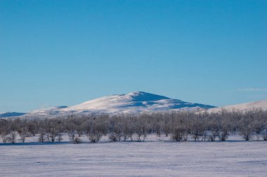 İskandinavya, İsveç Laponya 'daki güzel beyaz kış harikalar diyarı manzarasının panoramik manzarası. Gün ortası güneş ışığı.