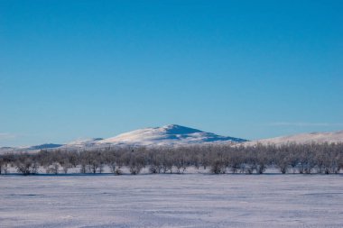 İskandinavya, İsveç Laponya 'daki güzel beyaz kış harikalar diyarı manzarasının panoramik manzarası. Gün ortası güneş ışığı.
