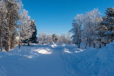 Kuzey Kutbu 'nda bol kar ve mavi gökyüzü ile panoramik soğuk kış manzarası. Fotoğraflar Kiruna, İsveç Laponya.