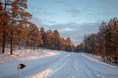 Arctic winter nature photography in Kiruna Swedish Lapland. Photographed in november. clipart