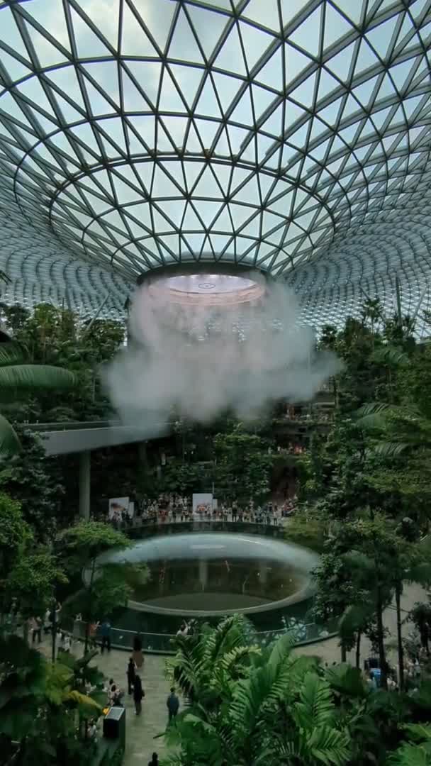 Video Introducción Cascada Aeropuerto Jewel Changi Singapur Estructura Icónica Cúpula — Vídeos de Stock