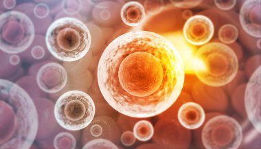 Bilim geçmişi olan insan hücreleri. 3d hazırlayıcı