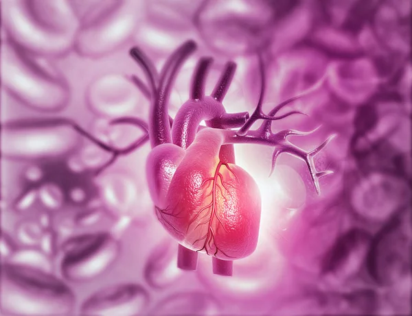Ilustrace Abstraktní Lékařské Zázemí Anatomií Lidského Srdce — Stock fotografie