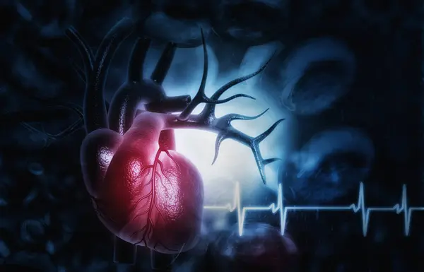 人类心脏解剖学医学背景的三维图解 — 图库照片