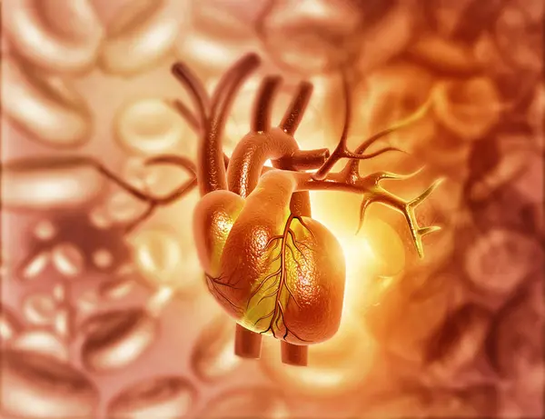 Иллюстрация Абстрактного Медицинского Фона Анатомией Сердца Человека — стоковое фото