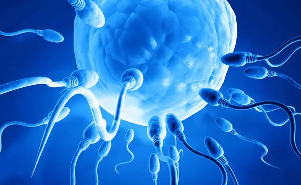 Mavi Arka Planda Yumurtalı Sperm Illüstrasyon — Stok fotoğraf