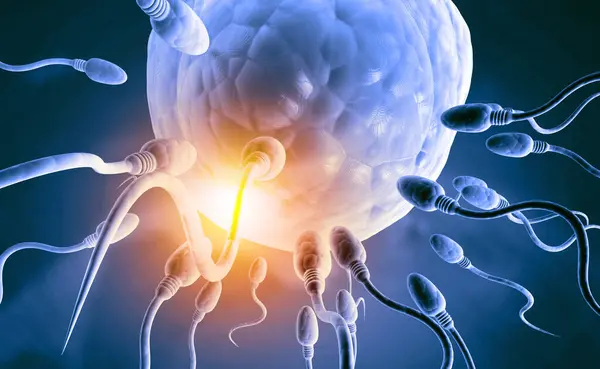 Sperm Egg Blue Background Illustration — Stock Photo, Image