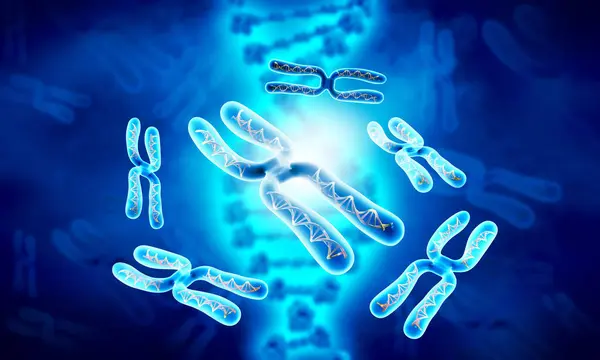 Cromosoma Sobre Fondo Sicience Ilustración — Foto de Stock