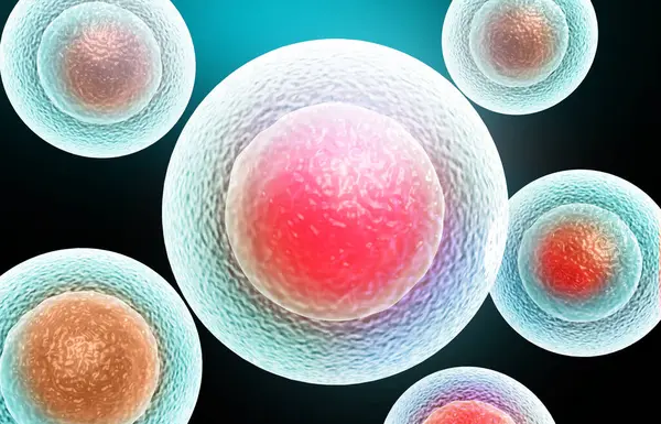 Human Cells Science Background Render — Stock Photo, Image