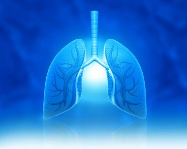 Tıbbi geçmişi olan insan ciğerleri. 3d illüstrasyon