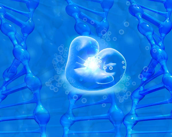 Dnaの医学的背景を持つ胎児の解剖学 3Dレンダリング — ストック写真