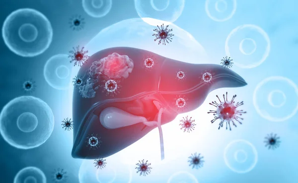 viral infection on human  liver. Medical background. 3d illustration
