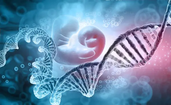 Human Dna Science Background Illustration Royalty Free Stock Photos