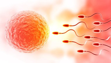 Soyut tıbbi geçmişinde yumurtalı sperm. 3d resimleme