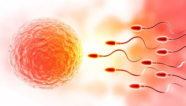 Sperma Med Ägg Abstrakt Medicinsk Bakgrund Illustration — Stockfoto