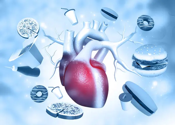 Анатомия Сердца Человека Фаст Фудом Нездоровая Диета Иллюстрация — стоковое фото