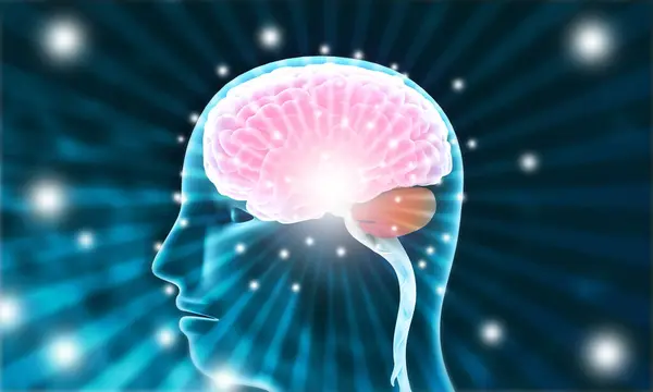 Ludzki Mózg Elektrycznymi Sygnałami Chemicznymi Aktywny Ludzki Mózg Cyfrowym Tle — Zdjęcie stockowe