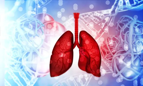 Human Lungs Medical Background Illustration — Stock Photo, Image
