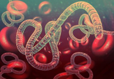 Kandaki Ebola virüsü. 3d illüstrasyon