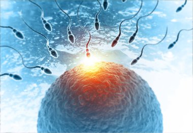 Soyut tıbbi geçmişinde yumurtalı sperm. 3d resimleme