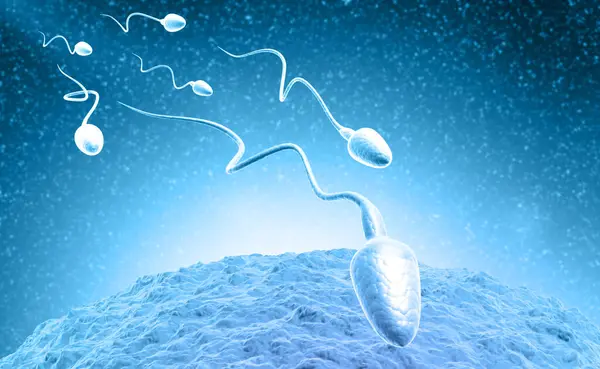 科学的な背景に精子と卵の細胞 3Dイラスト — ストック写真