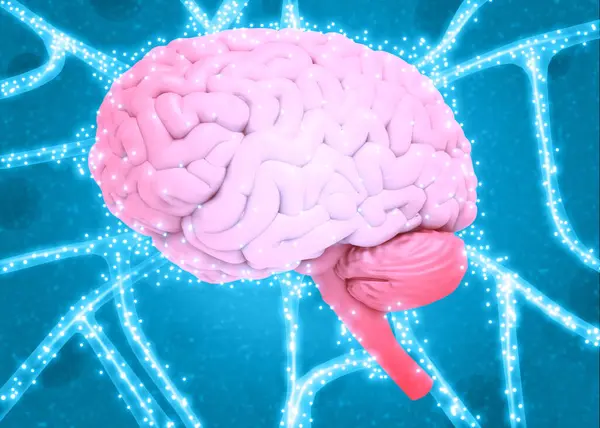 Människans Hjärnans Elektriska Signal Illustration — Stockfoto