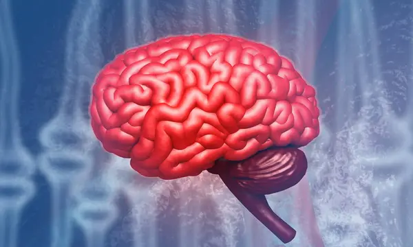 Human brain on science background. 3d illustration