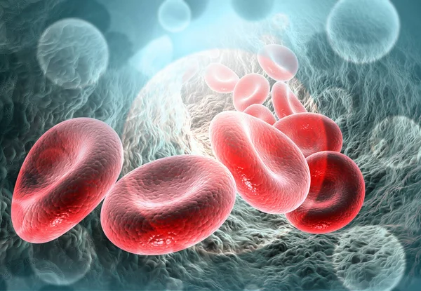 静脉中的红血球血液流淌 科学背景 3D说明 — 图库照片