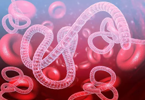 Vírus Ébola Sangue Ilustração — Fotografia de Stock