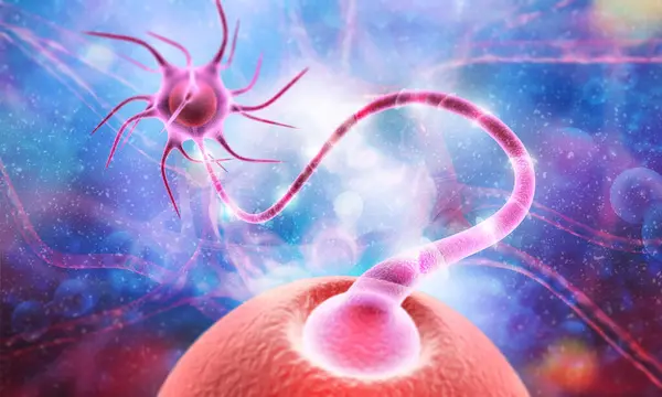 Células Neuronais Enviar Sinais Químicos Eléctricos Ilustração — Fotografia de Stock