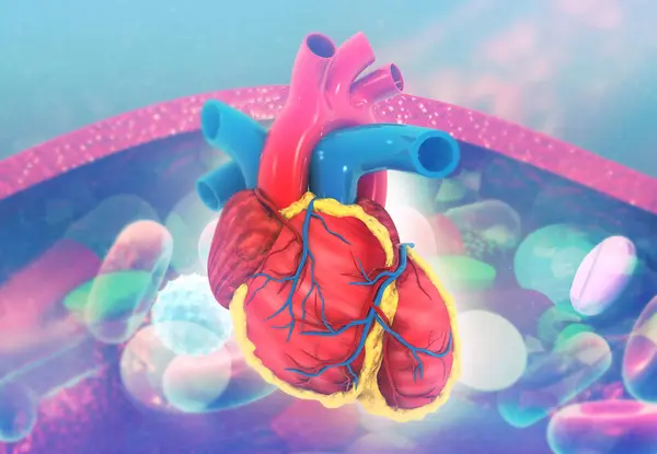 医学背景下的人类心脏解剖 3D说明 — 图库照片
