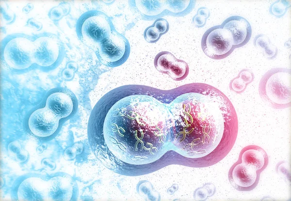 Human cells division. medical background  3d illustration