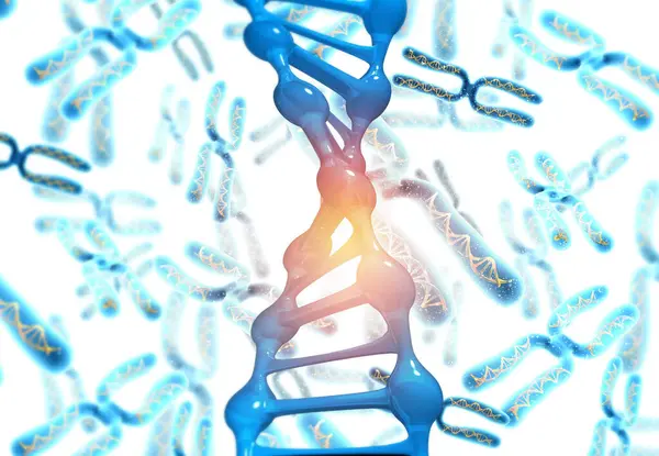 Dna molecules on Chromosome background. 3d illustration