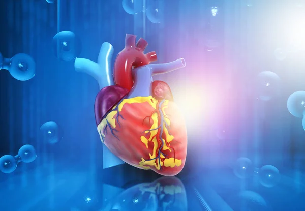 Anatomie Lidského Srdce Abstraktním Lékařském Pozadí Ilustrace — Stock fotografie
