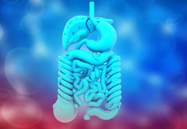 青い背景にある人間の内臓 3Dイラスト — ストック写真
