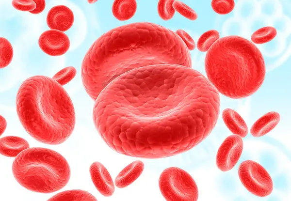 Red Blood Cells Streaming Render — Stock Photo, Image