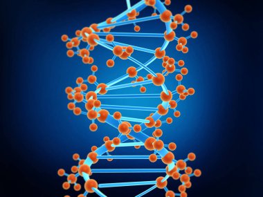 DNA Model Yapısı. Bilim geçmişi. 3d hazırlayıcı