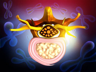 İnsan omurgası detaylı anatomi. Soyut bilimsel altyapı. 3d illüstrasyon