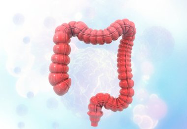 Tıbbi arka planda insan bağırsağı anatomisi. 3d illüstrasyon