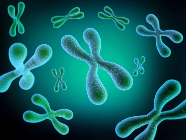 Chromosomes Chromosomes Genetics Concept Render — Stock Photo, Image