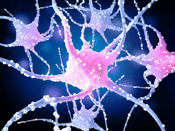 Neural Network Brain Nervous System Neurons Render — Stock Photo, Image