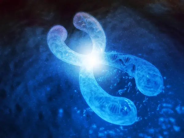 Dna X染色体 遺伝学コンセプトを用いた染色体 3Dレンダリング — ストック写真