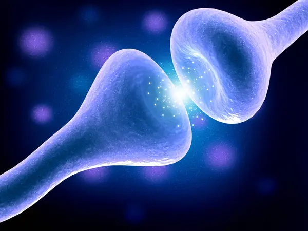 Beyindeki Sinir Ağı Sinir Sistemi Nöronlar Hazırlayıcı — Stok fotoğraf