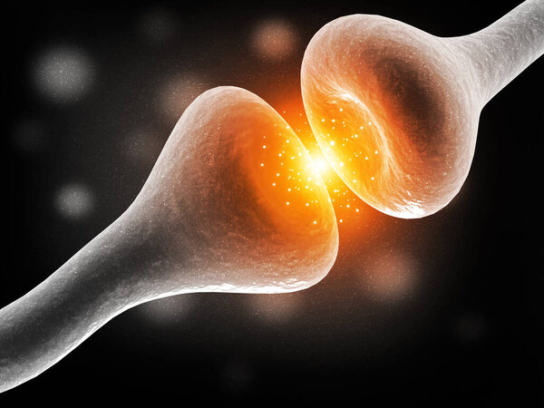 Neural network in the brain. nervous system , Neurons. 3d render	